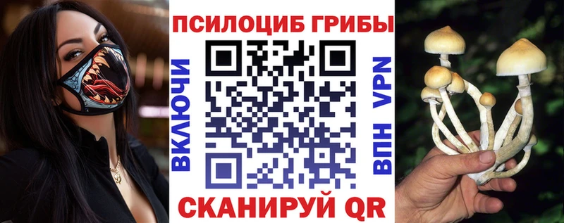 купить закладку  мега ТОР  Псилоцибиновые грибы ЛСД  Горно-Алтайск 
