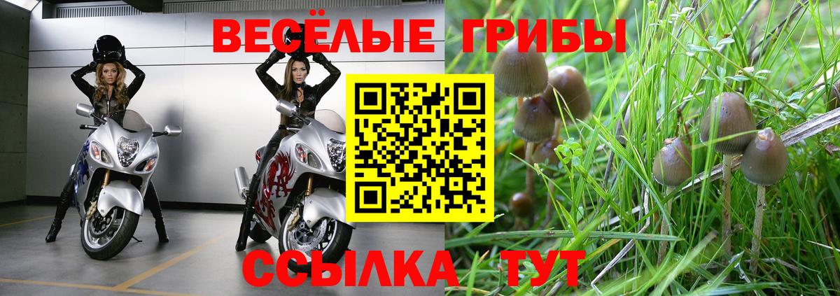 Псилоцибиновые грибы прущие грибы  Псилоцибиновые грибы мухоморы  Горно-Алтайск  Вход с VPN 
